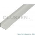 GAH Alberts hoekprofiel aluminium zilver 60x25x2 mm 2 m 471811