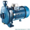 Foras centrifugaalpomp gietijzer 2 inch x 1.1/4 inch binnendraad 400-690 V blauw type KM 400/1 T 0920264