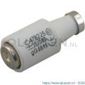 Q-Link zekering traag overspanning en kortsluiting GG 25 A DII wit set 5 stuks 00.425.19