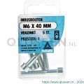 Deltafix inbusbout cilinderkop verzinkt M6x40 mm DIN 912 blister 5 stuks 11378