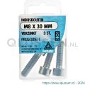 Deltafix inbusbout cilinderkop verzinkt M8x30 mm DIN 912 blister 3 stuks 11380