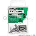 Deltafix spaanplaatschroef platkop kruiskop RVS A2 4.0x16 mm blister 15 stuks 11458