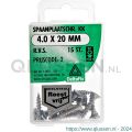 Deltafix spaanplaatschroef platkop kruiskop RVS A2 4.0x20 mm blister 15 stuks 11459