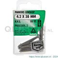 Deltafix parker lenskop Phillips PH RVS A2 4.2x38 mm DIN 7983C blister 10 stuks 11487