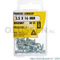 Deltafix parker lenskop Phillips PH verzinkt 3.5x16 mm DIN 7983C blister 30 stuks 11533