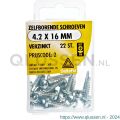 Deltafix schroef zelfborend cilinderkop Phillips PH verzinkt 4.2x16 mm DIN 7504N blister 22 stuks 11549