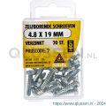 Deltafix schroef zelfborend cilinderkop Phillips PH verzinkt 4.8x19 mm DIN 7504N blister 20 stuks 11552