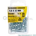 Deltafix schroef zelfborend cilinderkop Phillips PH verzinkt 4.8x32 mm DIN 7504N blister 16 stuks 11554