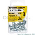 Deltafix schroef zelfborend cilinderkop Phillips PH verzinkt 5.5x19 mm DIN 7504N blister 12 stuks 11555