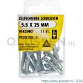 Deltafix schroef zelfborend cilinderkop Phillips PH verzinkt 5.5x25 mm DIN 7504N blister 11 stuks 11556