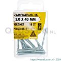 Deltafix spaanplaatschroef platkop kruiskop verzinkt 3.0x40 mm blister 18 stuks 11608