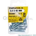 Deltafix spaanplaatschroef platkop kruiskop verzinkt 5.0x40 mm blister 15 stuks 11636