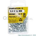 Deltafix spaanplaatschroef cilinderkop kruiskop verzinkt 3.5x16 mm blister 45 stuks 11655