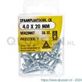 Deltafix spaanplaatschroef cilinderkop kruiskop verzinkt 4.0x20 mm blister 35 stuks 11659