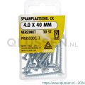 Deltafix spaanplaatschroef cilinderkop kruiskop verzinkt 4.0x40 mm blister 20 stuks 11663