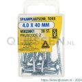 Deltafix spaanplaatschroef platkop Torx met nibs type 17 snijpunt verzinkt 4.5x20 mm blister 30 stuks 12625