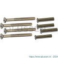 QlinQ patentbout M4x45 mm nikkel set 4 stuks 1033826