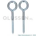 QlinQ schroefoog 80x7.8 mm verzinkt set 2 stuks 1095914