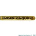 Index CA-QU chemisch anker 8x80 mm diameter 10 mm ETA optie 8 IXCAQU008