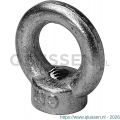 Steelies Ultimate oogmoer DIN 582 M24 RVS A2 9S602400001