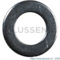 Steelies Ultimate sluitring DIN 125A M36 verzinkt A0113600001