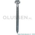 Steelies Ultimate Basic spaanplaatschroef 3,0x16 mm cilinderkop CK Torx T 10 RVS A2 C7600300161
