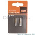 Bahco 62TIN/T 2P bit 1/4 inch 25 mm Torx T 20 tin 2 delig 62TIN/T20-2P