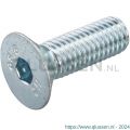 Hoenderdaal binnenzeskantbout staal verzinkt VZ 8.8 platkop PK IB 4 DIN 7991 M6x10 mm 200 stuks 2170.11.48301