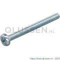 Hoenderdaal metaalschroef staal verzinkt VZ cilinderkop CK Phillips PH 2 DIN 7985 M4x20 mm 200 stuks 1632.01.25001