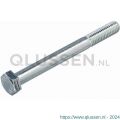 Hoenderdaal zeskantbout staal verzinkt VZ 8.8 SW 19 DIN 931 M12x100 mm 50 stuks 1740.11.74601