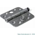 Dulimex DX H367-89892025 kogellagerscharnier 3 mm ronde hoeken 89x89 mm RVS pen RVS geborsteld SKG*** 6732.133.8989