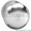 Intersteel 2165 knop Paddenstoel vast op rozet verdekt 4 mm RVS 0035.216501