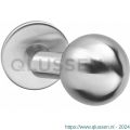 Intersteel 2165 knop bol-schuin vast op rozet verdekt 4 mm RVS 0035.216561