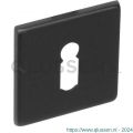 Intersteel Essentials 3433 sleutelplaatje staal verdekt vierkant 50x50x5 mm RVS zwart 0035.343316
