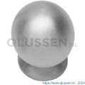 Intersteel Essentials 8510 meubelknop bolrond achterplaat diameter 20 mm RVS 0035.851020