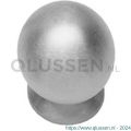 Intersteel Essentials 8510 meubelknop bolrond achterplaat diameter 25 mm RVS 0035.851021