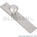 Ami 251/50/8 knoplangschild aluminium knop 169/50 vast langschild 251/50/8 blind R6,5 F1 323960