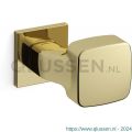 Mandelli1953 1621L Carré deurkruk gatdeel op rozet 50x50x6 mm linkswijzend messing gepolijst TH51621MA0200