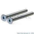 GPF Bouwbeslag AG0301 staal gegalvaniseerd bout DIN7991 2x M5x40 mm voor veiligheids KT rozet tot deurdikte 34 mm gegalvaniseerd AG0301