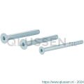 GPF Bouwbeslag AG0325 binnenzeskantbout PK DIN 7991 10.9 galvanisch verzinkt voor set veiligheids schilden deurdikte 68 mm 2x M8x70/1x M6x80 mm gegalvaniseerd AG0325