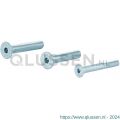 GPF Bouwbeslag AG0333 binnenzeskantbout PK DIN 7991 10.9 galvanisch verzinkt voor set veiligheids schilden tot deurdikte 44 mm 2x M8x45/1x M6x50 mm gegalvaniseerd AG0333