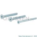 GPF Bouwbeslag AG0335 binnenzeskantbout PK DIN 7991 10.9 galvanisch verzinkt voor set veiligheids schilden tot deurdikte 64 mm 2x M8x70/1x M6x70 mm gegalvaniseerd AG0335