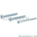 GPF Bouwbeslag AG0337 binnenzeskantbout PK DIN 7991 10.9 galvanisch verzinkt voor set veiligheids schilden tot deurdikte 84 mm 2x M8x90/1x M6x90 mm gegalvaniseerd AG0337