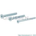 GPF Bouwbeslag AG0338 binnenzeskantbout PK DIN 7991 10.9 galvanisch verzinkt voor set veiligheids schilden tot deurdikte 94 mm 2x M8x100/1x M6x100 mm gegalvaniseerd AG0338