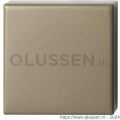 GPF Bouwbeslag Anastasius 1102.A4.0900 blinde vierkante rozet 50x50x8 mm Champagne blend GPF1102A40900