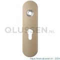 GPF Bouwbeslag Anastasius 1110.A4R PC55 deurkruk gatdeel rechtswijzend kortschild afgerond 169x46x8,5 mm PC55 Champagne blend GPF1110A40332