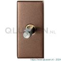 GPF Bouwbeslag Anastasius 1131.A2.0040 draaikiepmechanisme rechthoekig 65x30x12 mm met stift binnenzijde 40 mm Bronze blend GPF1131A20040