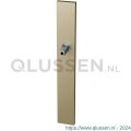 GPF Bouwbeslag Anastasius 1175.A4.400 XL blind langschild XL rechthoekig 282x40x8,5 mm blind met vastgelaste knopvastzetter Champagne blend GPF1175A40400