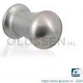 GPF Bouwbeslag RVS 5540.20 meubelknop rond 20 mm hoogte 30 mm RVS geborsteld GPF554009020