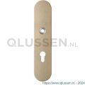 GPF Bouwbeslag Anastasius 9102.A4 veiligheids binnenschild SKG*** 248x52x8 mm afgerond PC72 Champagne blend GPF9102A4042